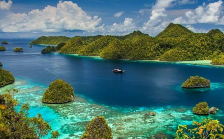 Pelabuhan Terbesar di Dunia: Fakta Menakjubkan yang Jarang Diketahui