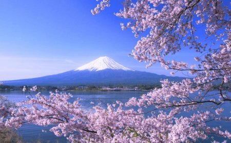 Paket Wisata Jepang 10 Hari: Jelajahi Negeri Sakura Tanpa Ribet!