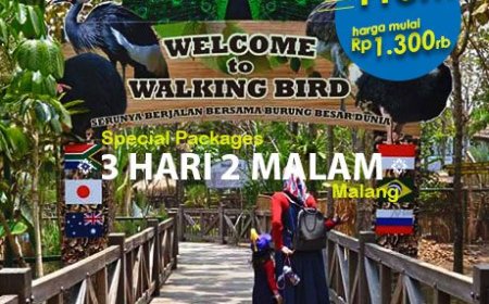 Paket Tour Malang Bromo: Wisata Alam dan Kota dalam Satu Trip!