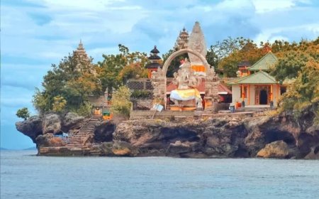 Menjangan Island Bali Snorkeling: Surga Bawah Laut yang Wajib Dicoba