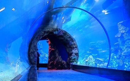 Harga Tiket Bioskop Bintaro Plaza: Update Terbaru dan Promo Seru