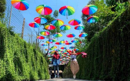 Taman Botani Sukorambi