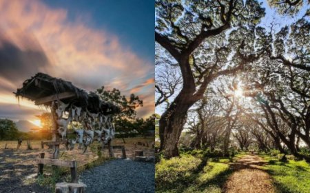 Wisata Malam Banyuwangi Paling Menarik