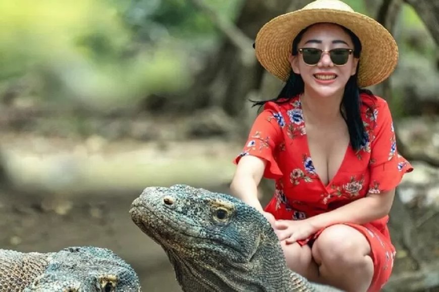 Trip Lombok 3 Hari 2 Malam: Jelajahi Surga Tropis dengan Hemat