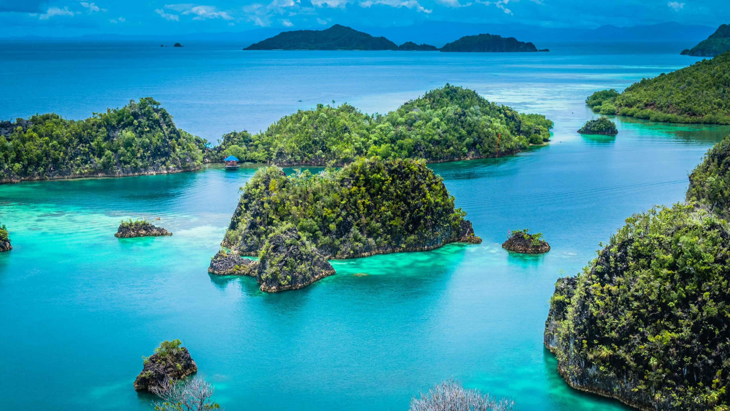 Papua Destinasi Wisata